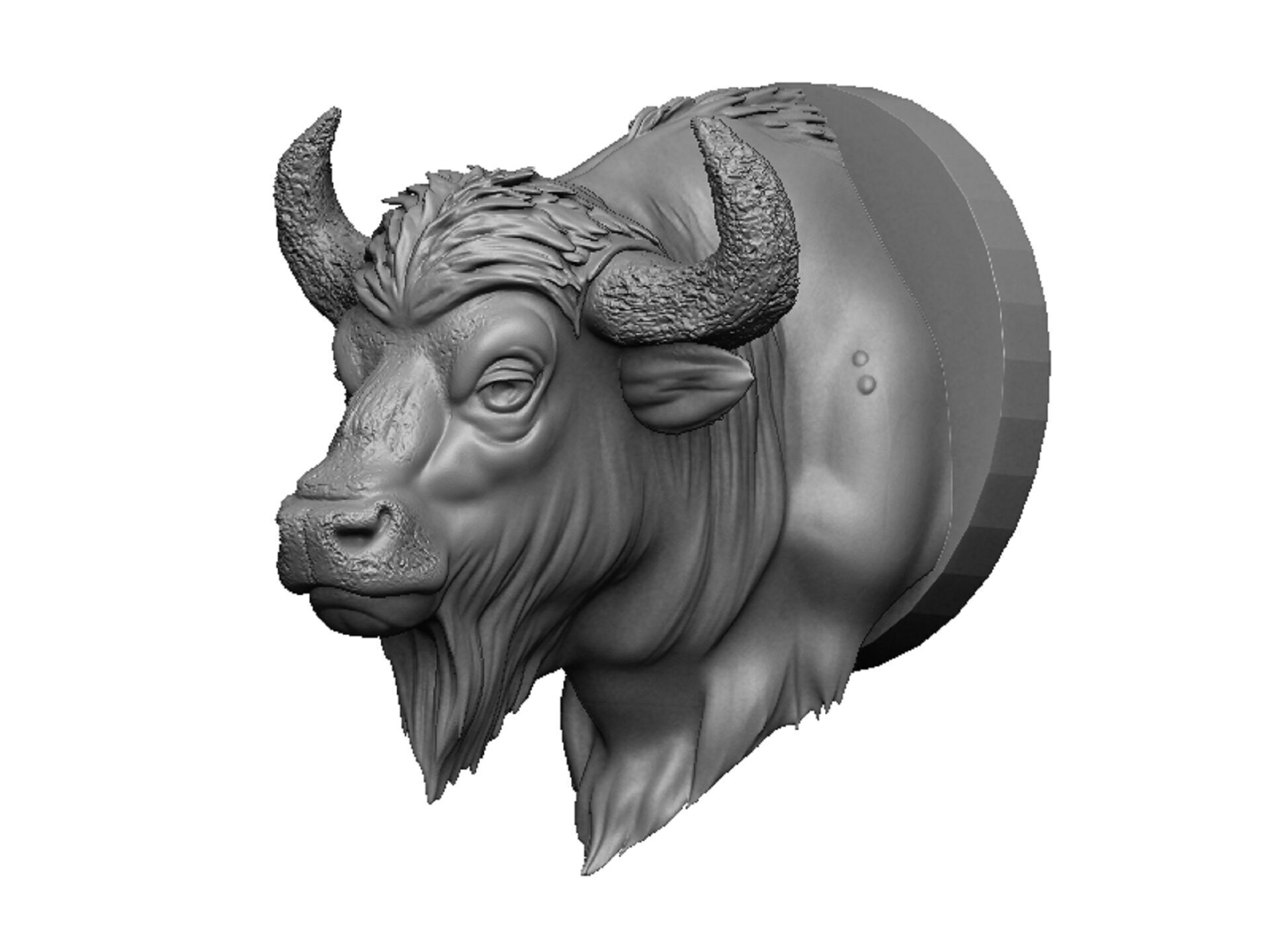 bison head 3D print model_3