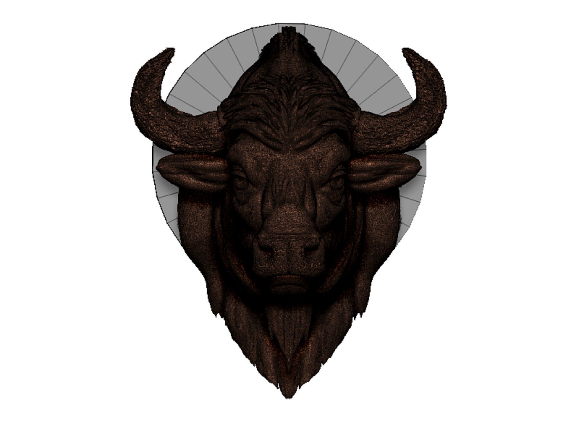 bison head 3D print model_12