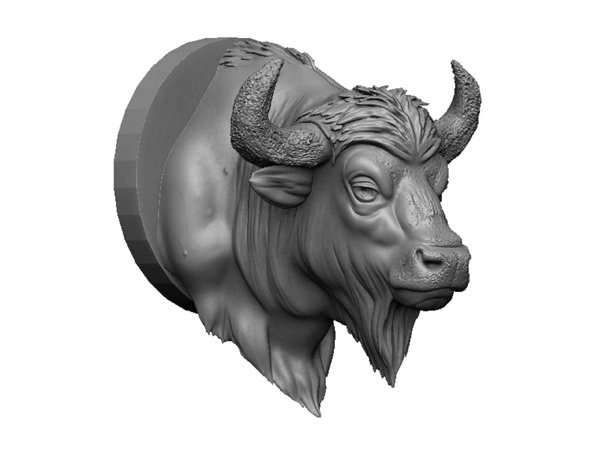 bison head 3D print model_1