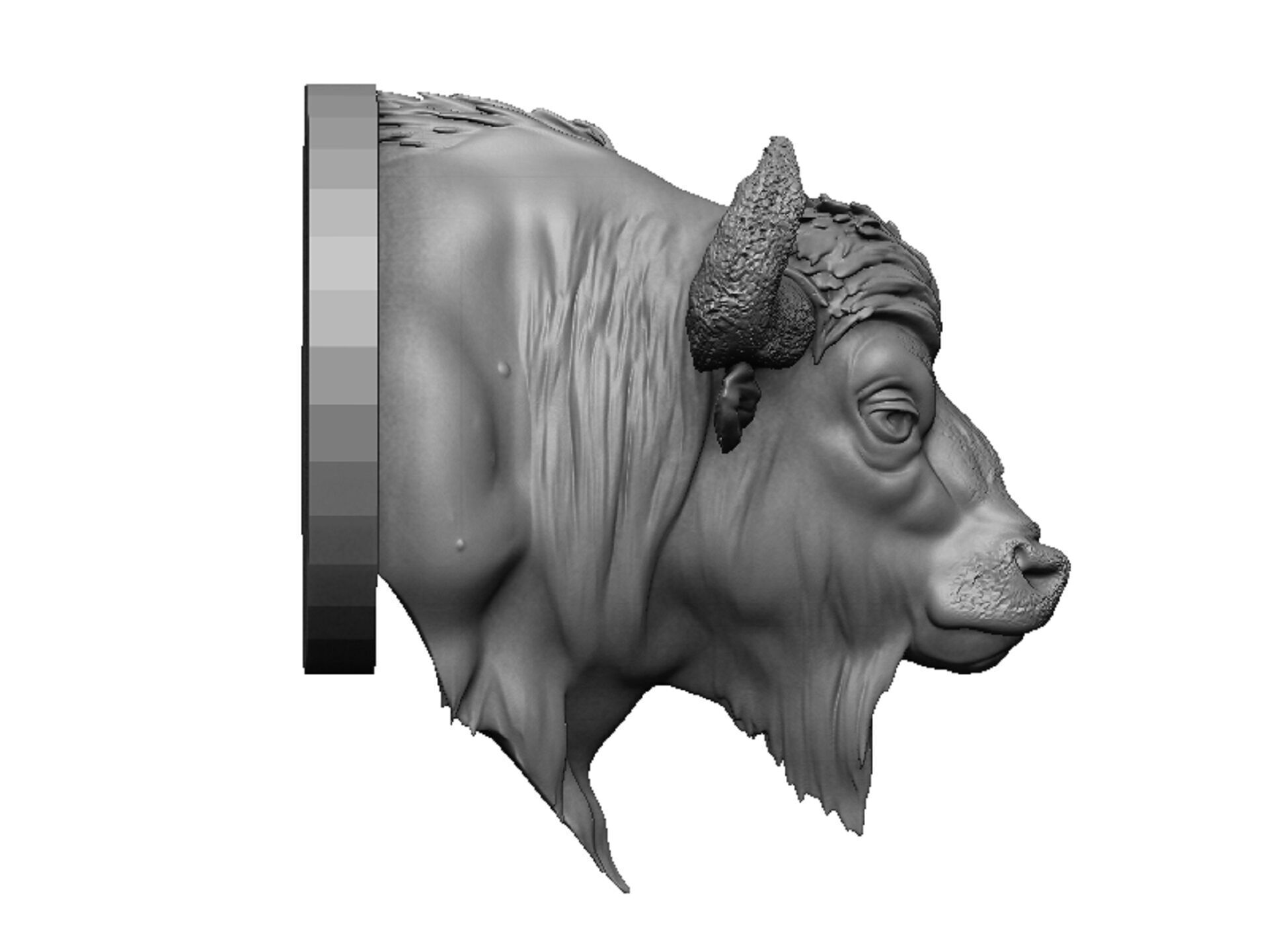 bison head 3D print model_2