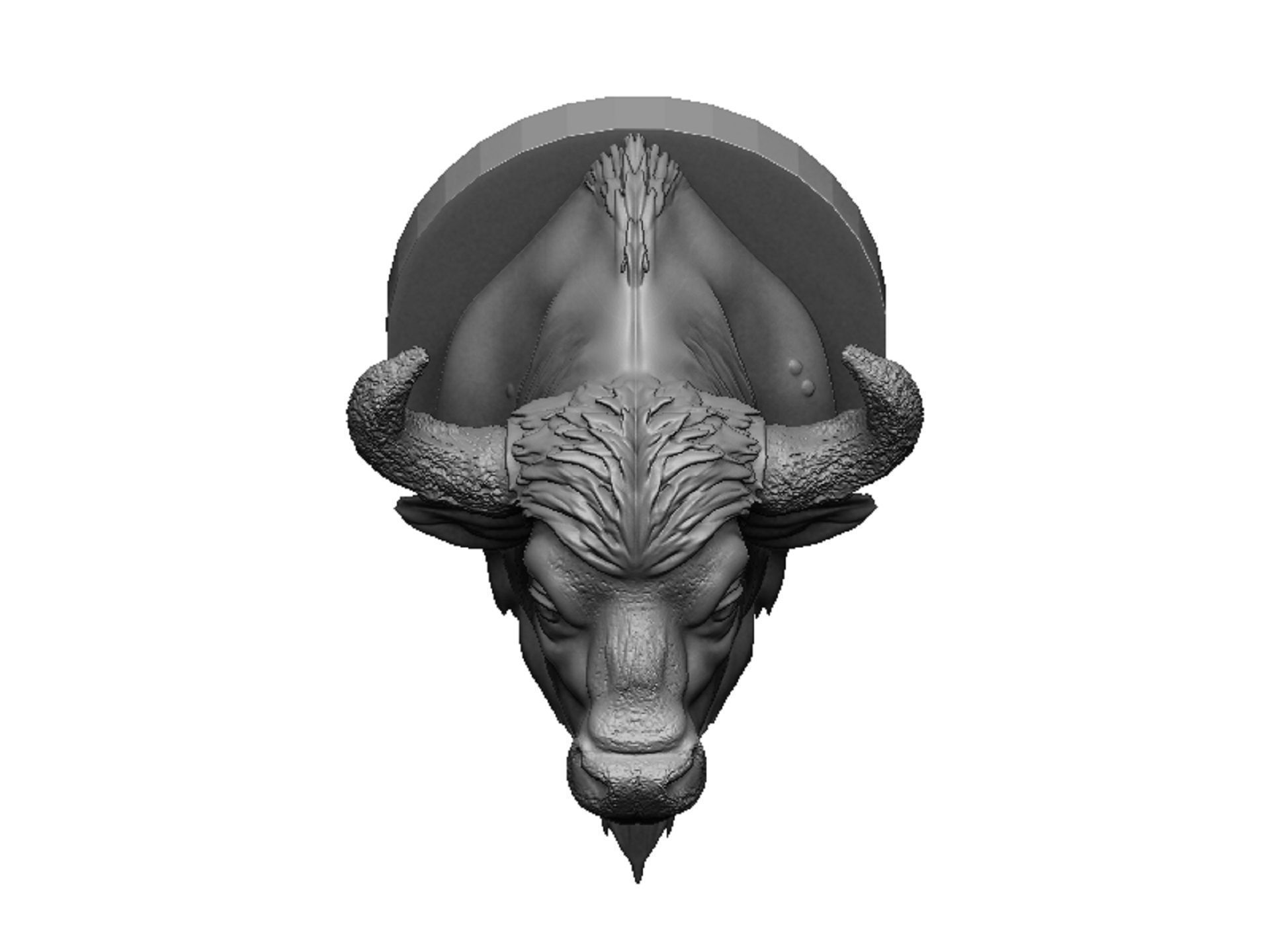 bison head 3D print model_7