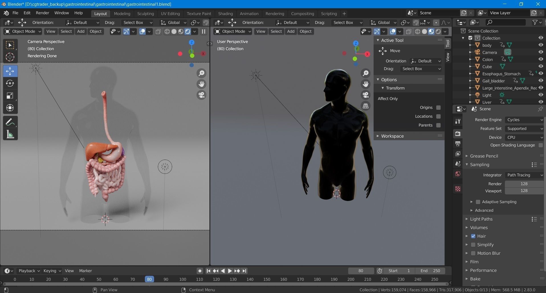 Gastrointestinal human digestive system - stomach 3D model_4