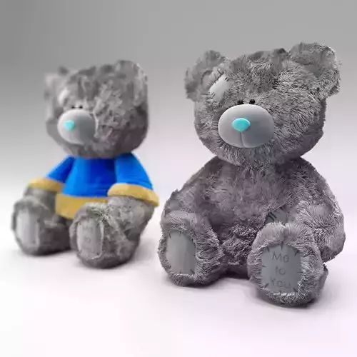 Bear Teddy Me to You