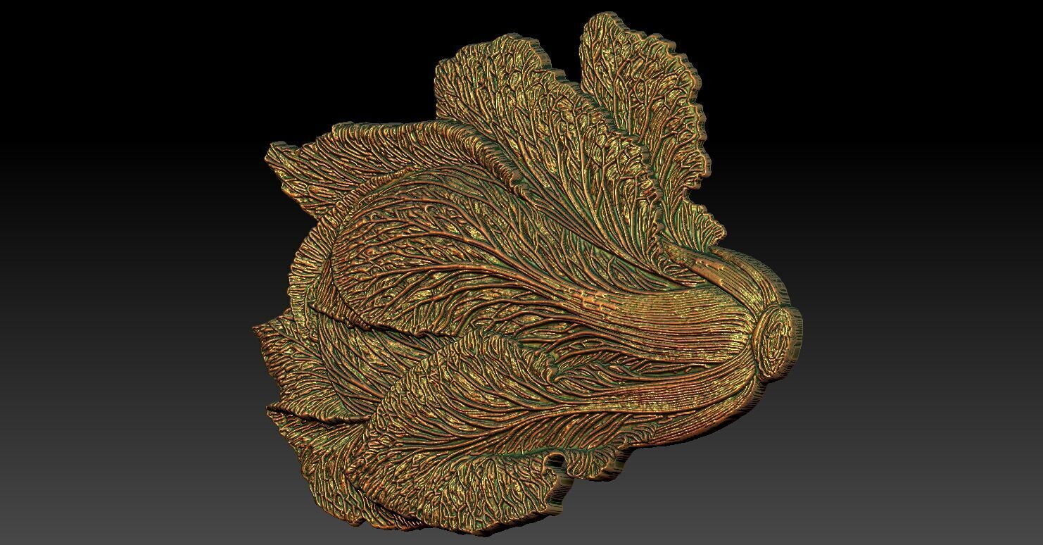 1 napa cabbage CNC Relief Model 3D print model_3