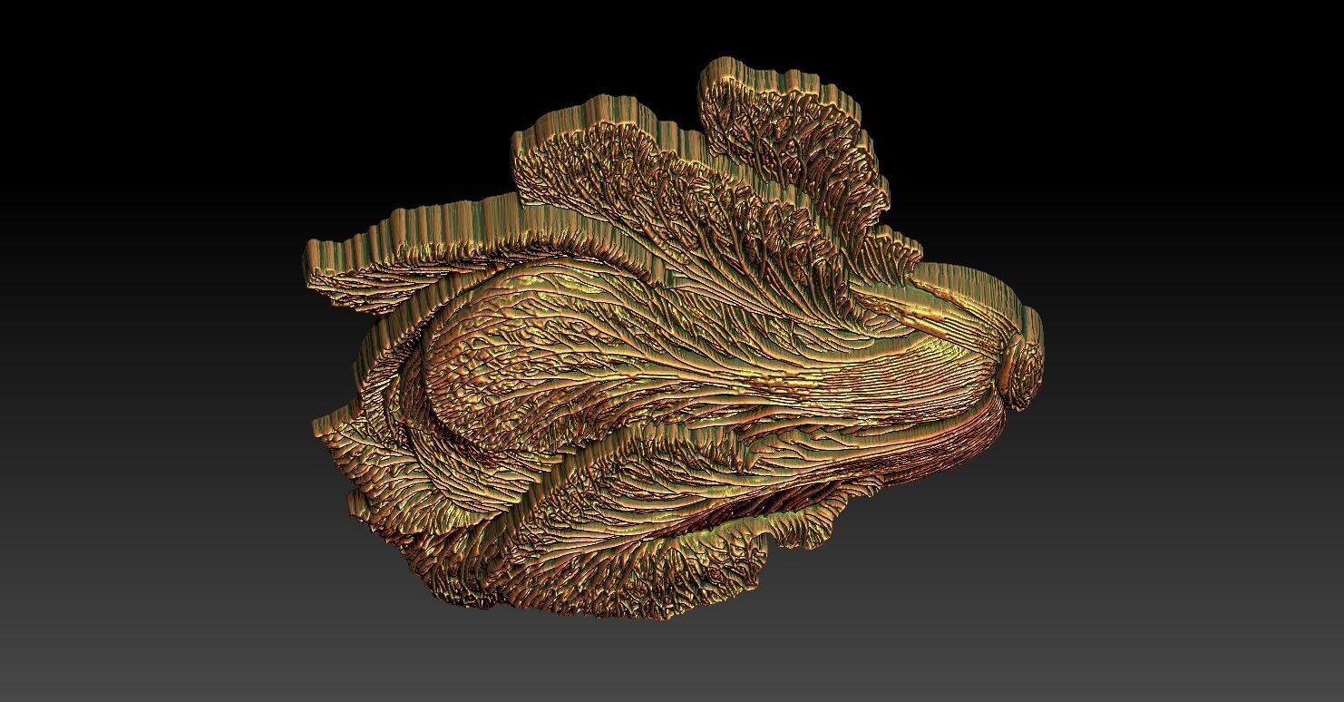 1 napa cabbage CNC Relief Model 3D print model_5