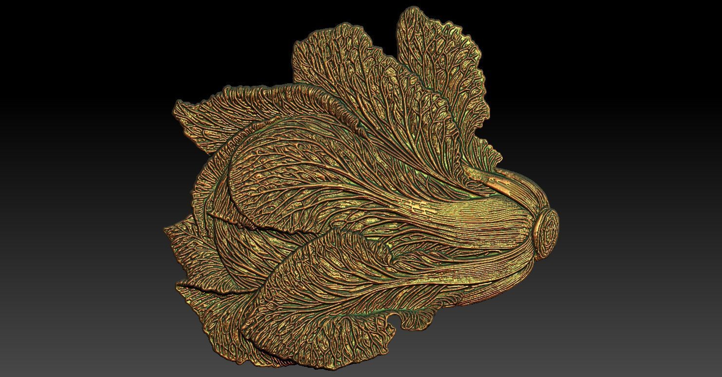 1 napa cabbage CNC Relief Model 3D print model_1