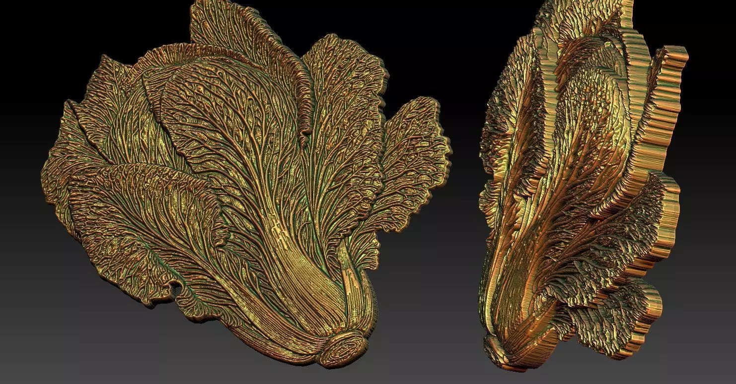 1 napa cabbage CNC Relief Model 3D print model_0