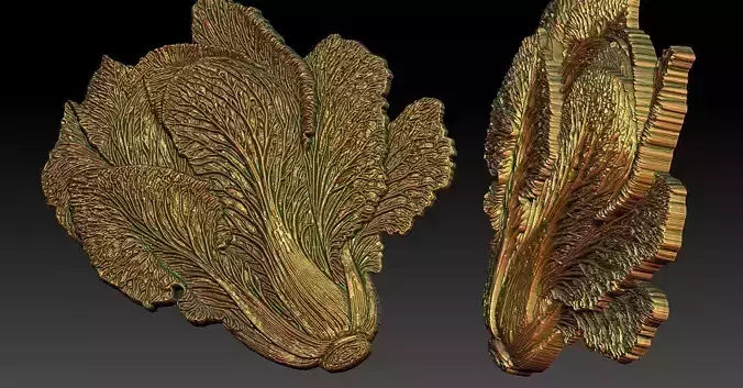 1 napa cabbage CNC Relief Model 3D print model