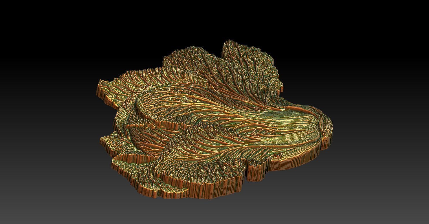 1 napa cabbage CNC Relief Model 3D print model_4