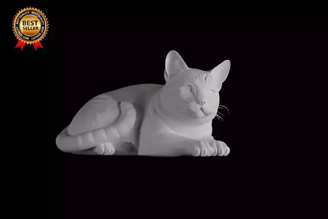 Cat Print Model Lying Down Relaxed Pose