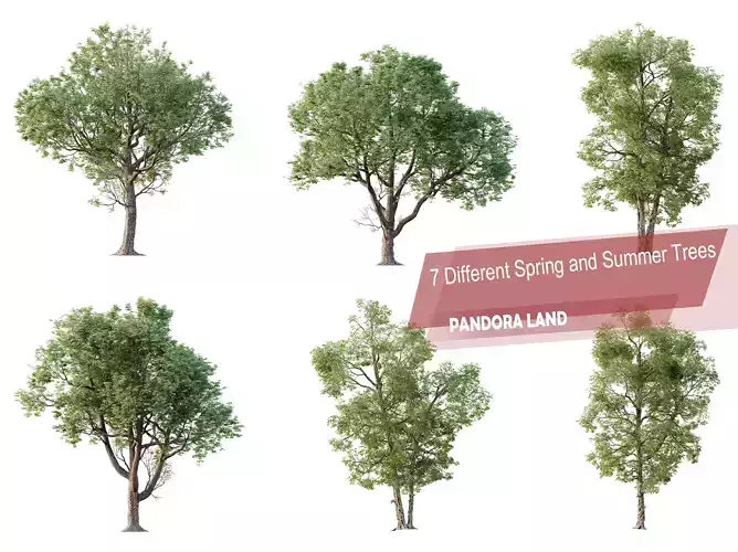 AV 7 Different SETS of spring and summer Trees  3D Model Collection