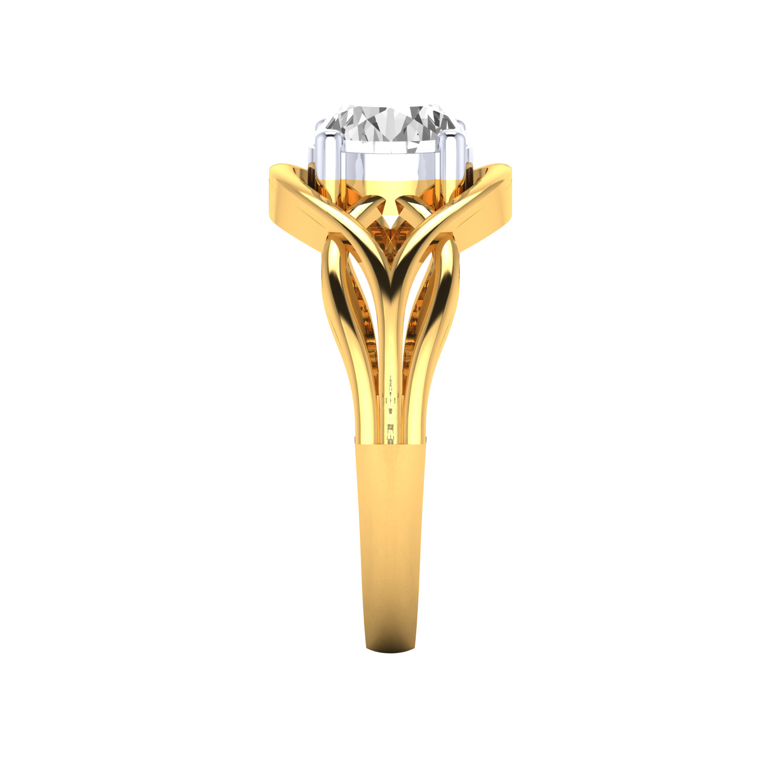 Women Ring Render 3dm STL MTL SLC JCD OBJ FBX Details 3D print model_22