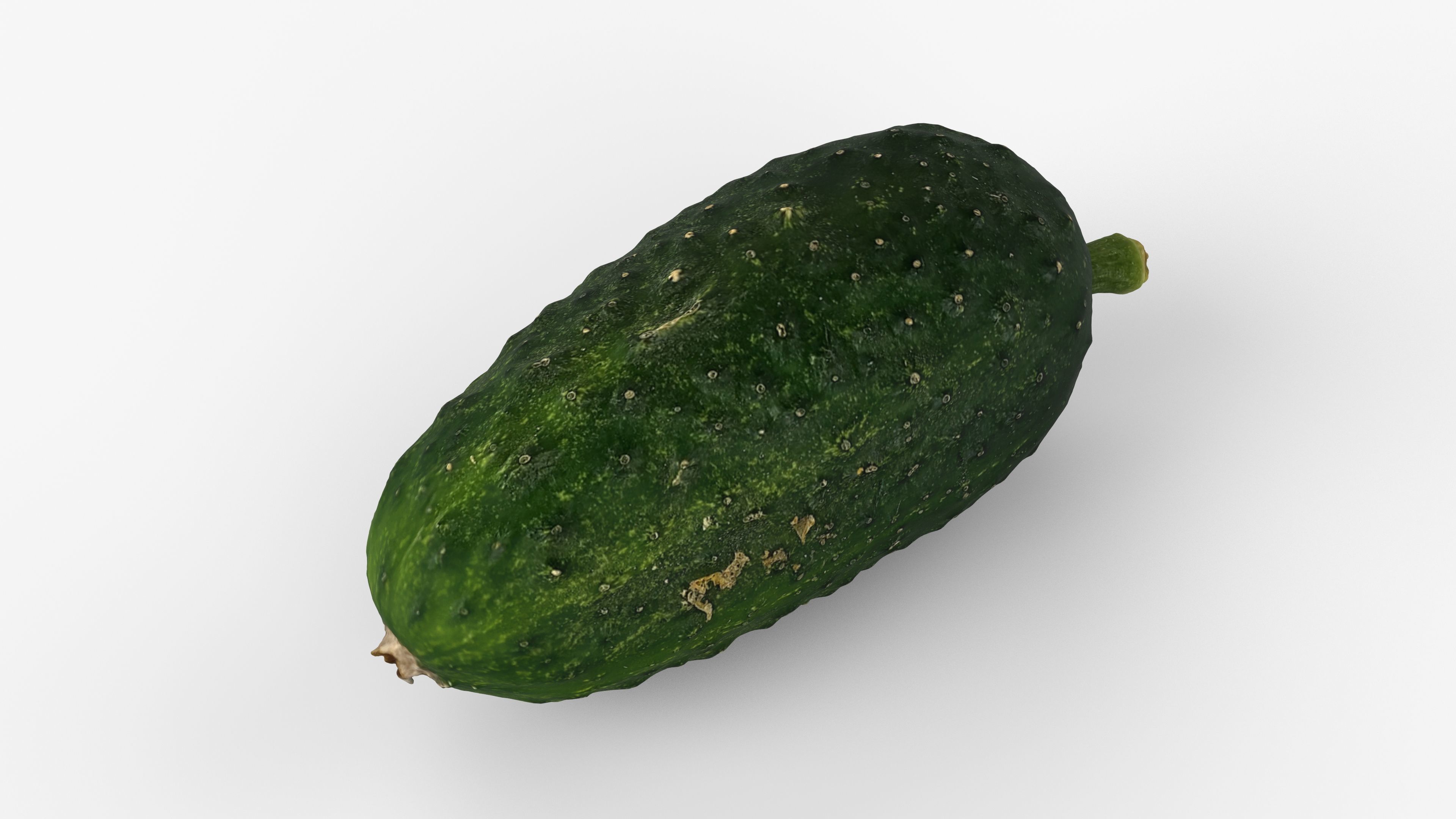 Photorealistic 3D scan of cucumber - Fresh Whole Vegetable Low-poly 3D model_2