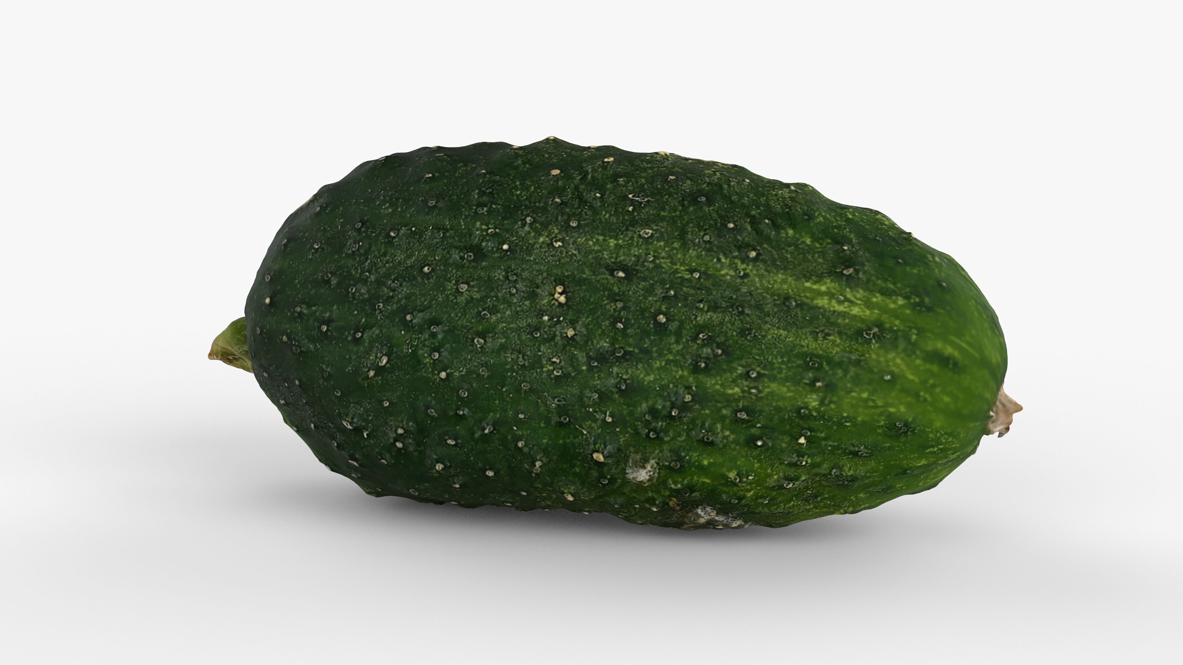 Photorealistic 3D scan of cucumber - Fresh Whole Vegetable Low-poly 3D model_1