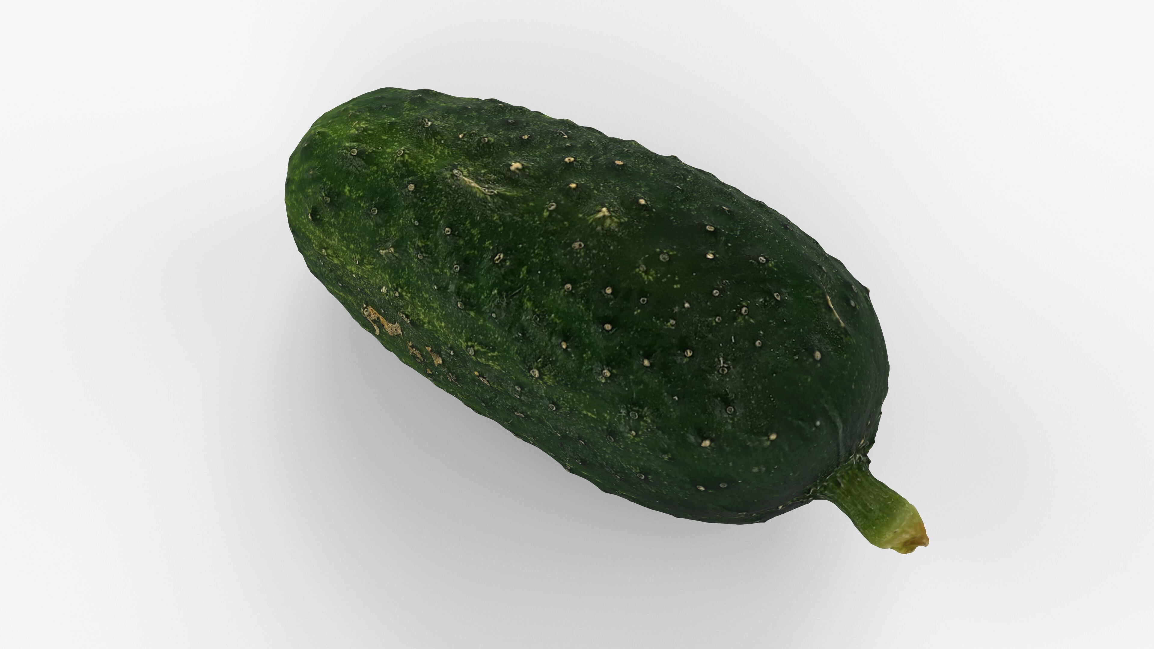 Photorealistic 3D scan of cucumber - Fresh Whole Vegetable Low-poly 3D model_4