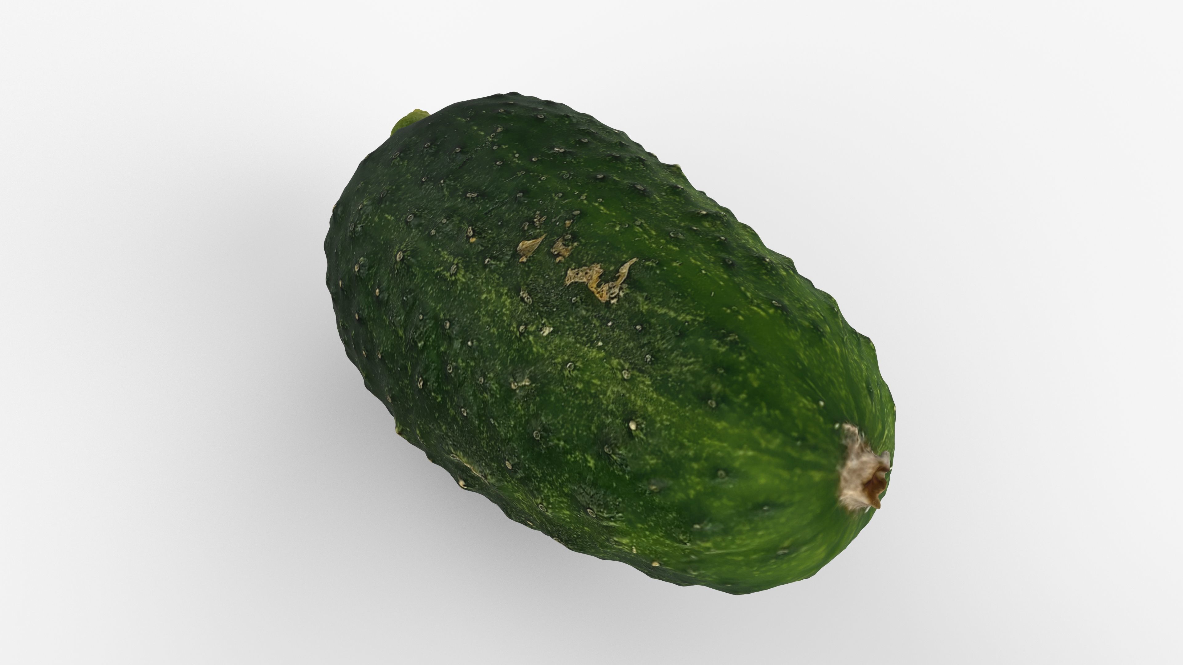 Photorealistic 3D scan of cucumber - Fresh Whole Vegetable Low-poly 3D model_9