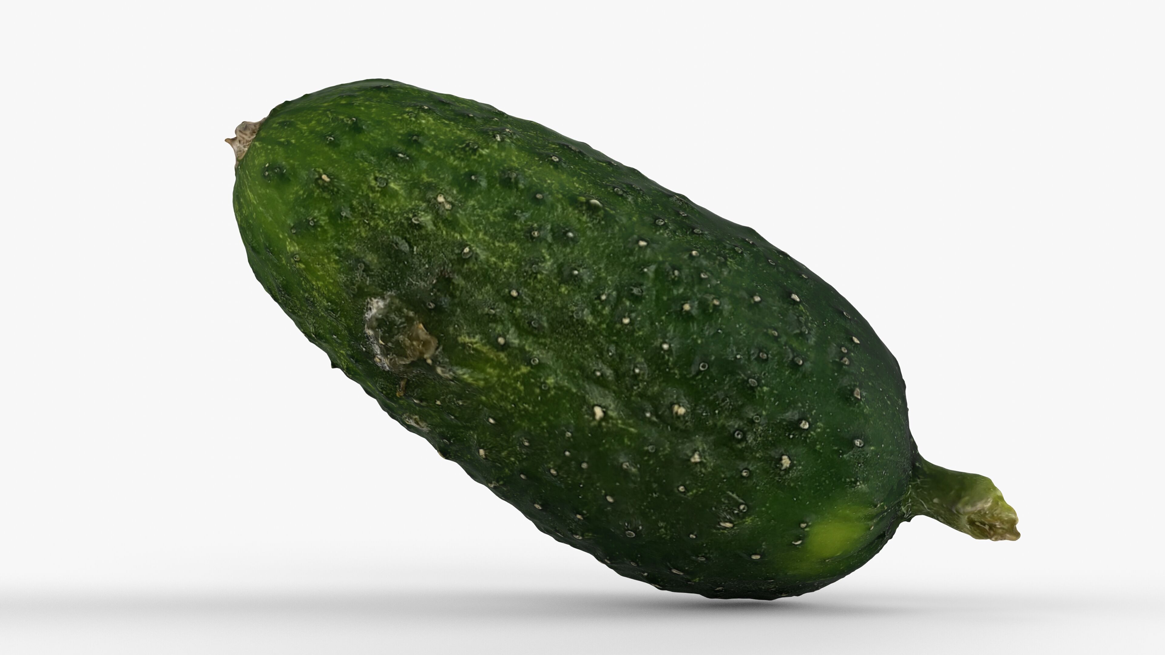 Photorealistic 3D scan of cucumber - Fresh Whole Vegetable Low-poly 3D model_10