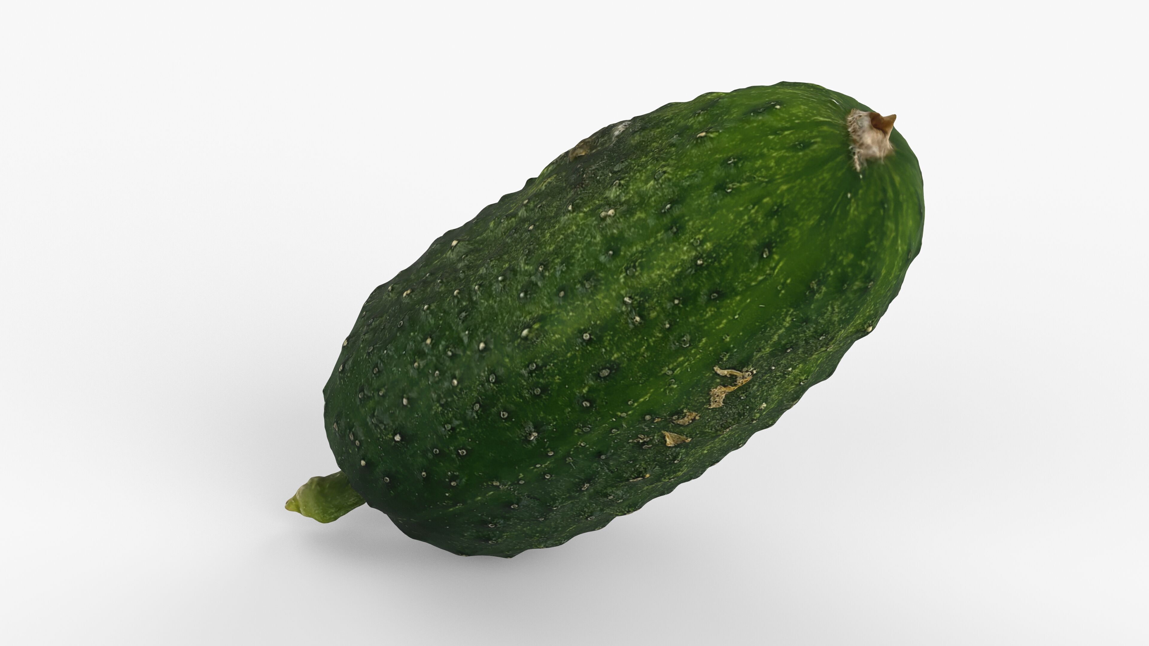 Photorealistic 3D scan of cucumber - Fresh Whole Vegetable Low-poly 3D model_11