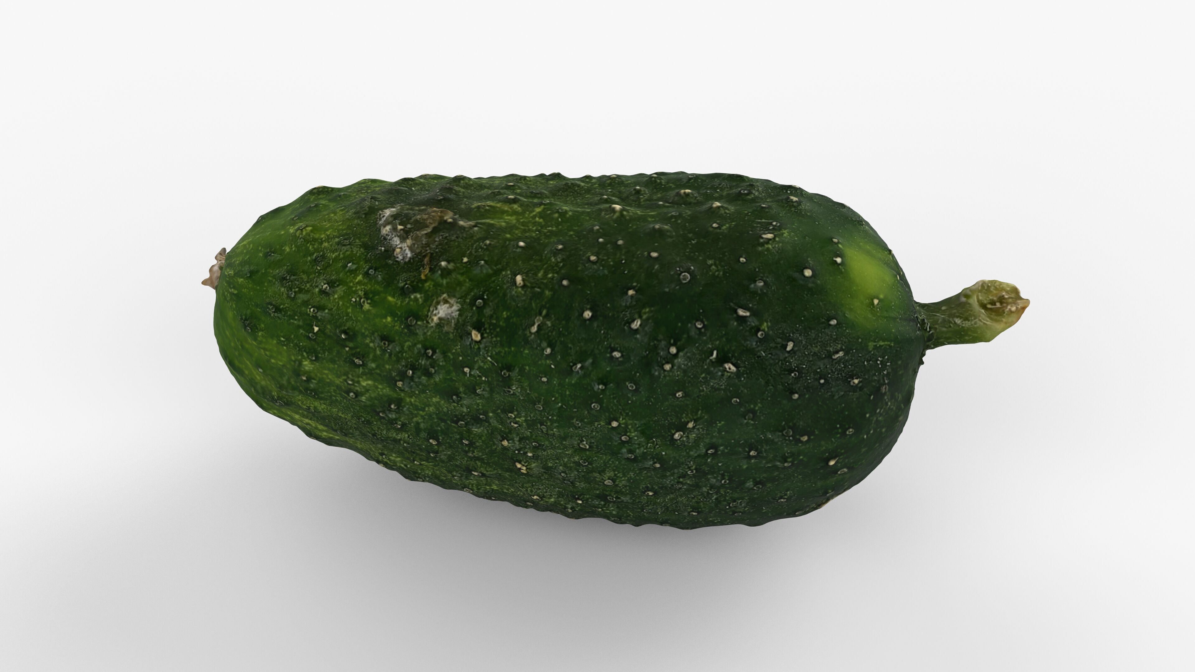 Photorealistic 3D scan of cucumber - Fresh Whole Vegetable Low-poly 3D model_8