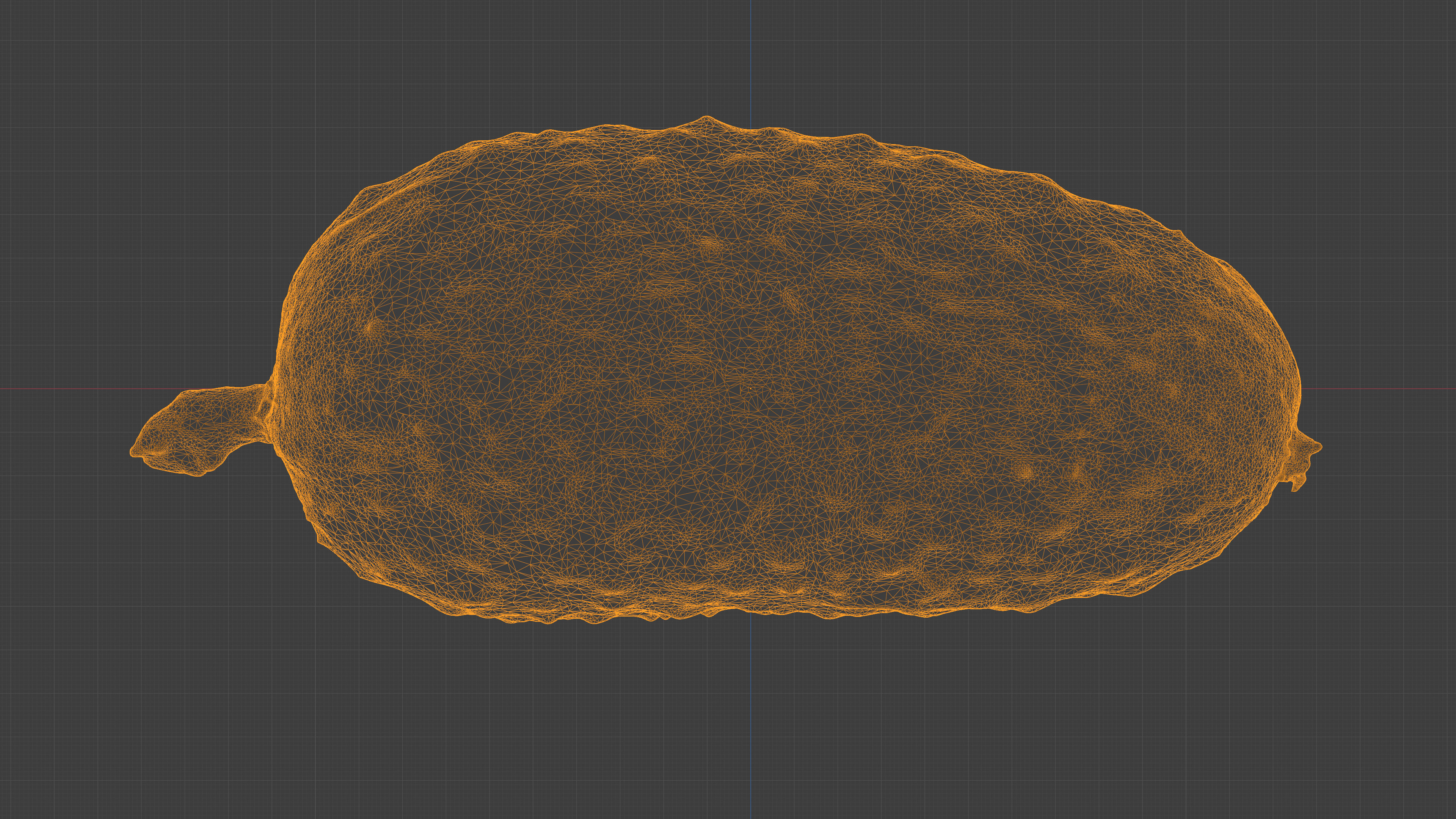 Photorealistic 3D scan of cucumber - Fresh Whole Vegetable Low-poly 3D model_36