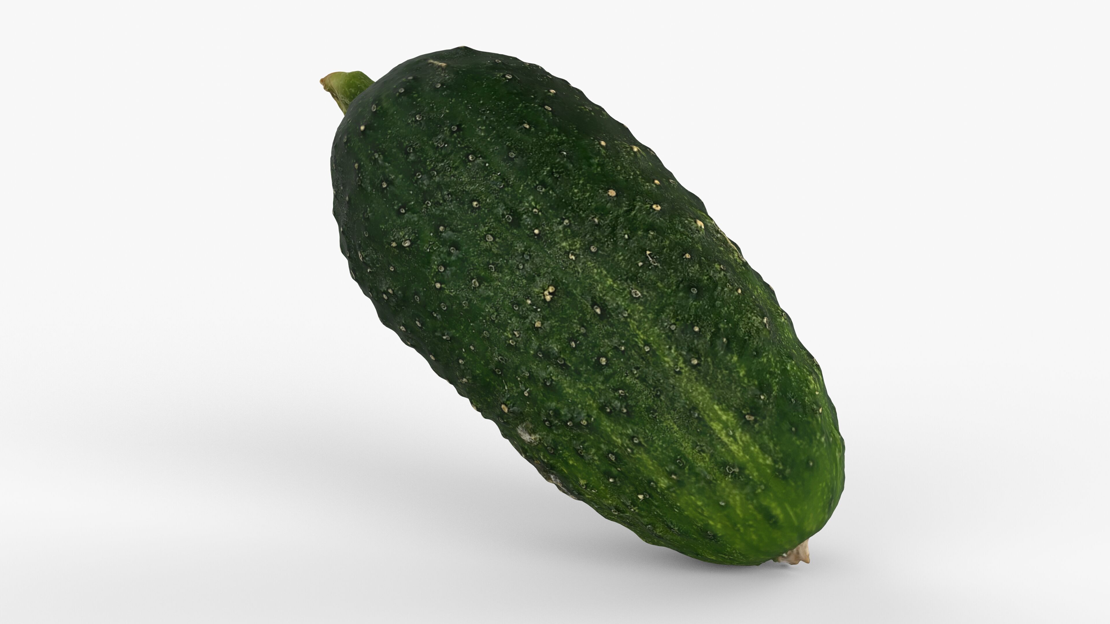 Photorealistic 3D scan of cucumber - Fresh Whole Vegetable Low-poly 3D model_6