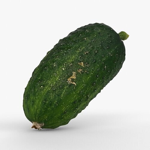 Photorealistic 3D scan of cucumber - Fresh Whole Vegetable Low-poly 3D model