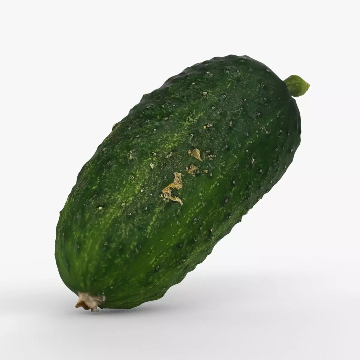 Photorealistic 3D scan of cucumber - Fresh Whole Vegetable Low-poly 3D model_0