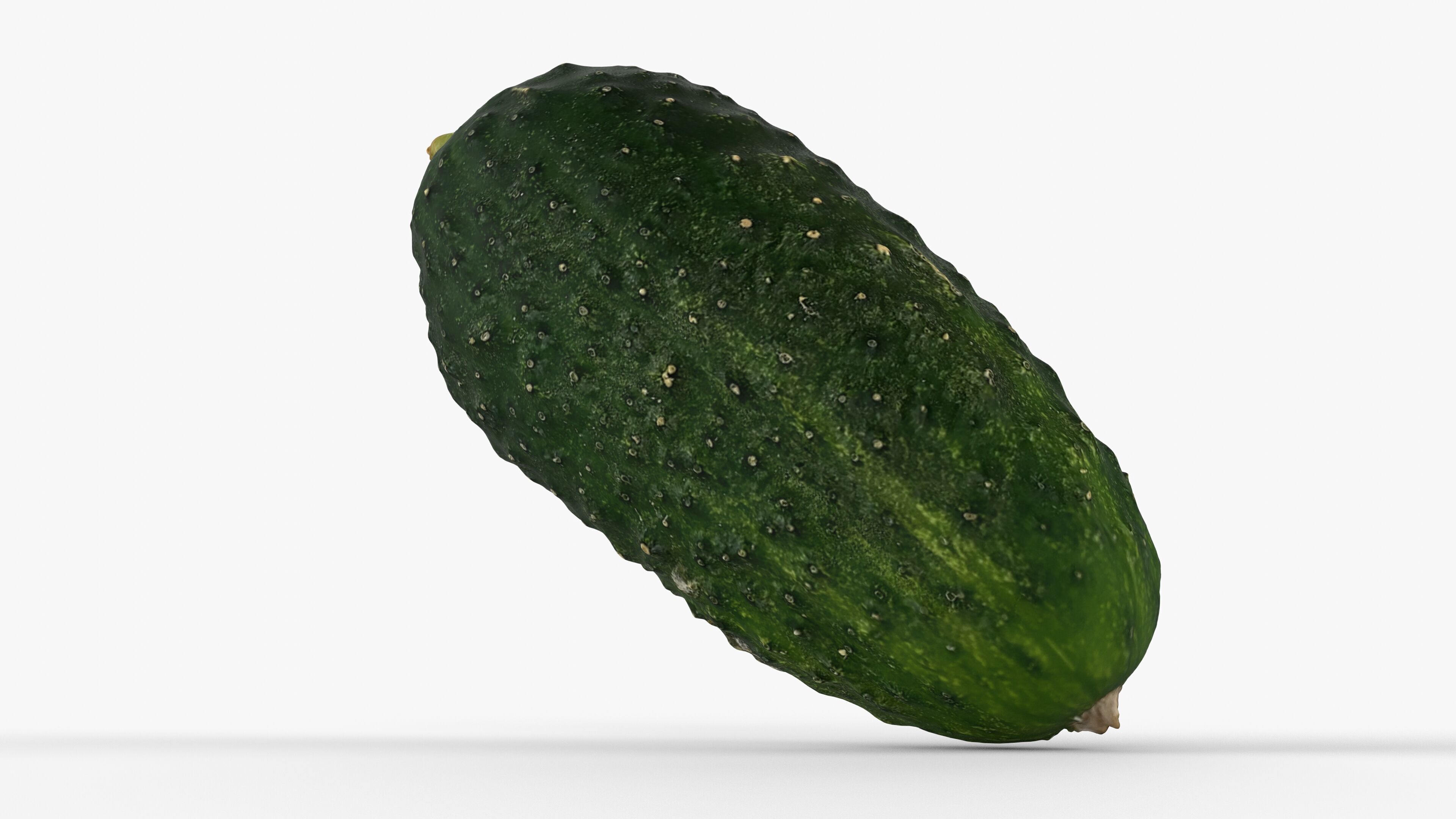Photorealistic 3D scan of cucumber - Fresh Whole Vegetable Low-poly 3D model_14