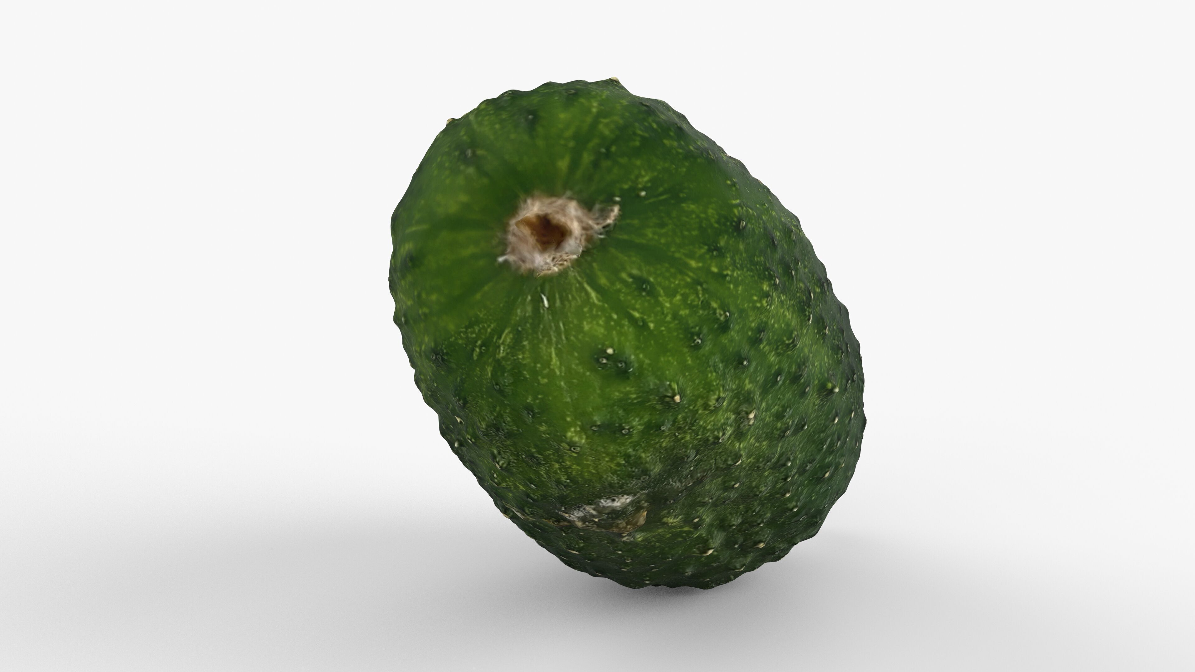 Photorealistic 3D scan of cucumber - Fresh Whole Vegetable Low-poly 3D model_13