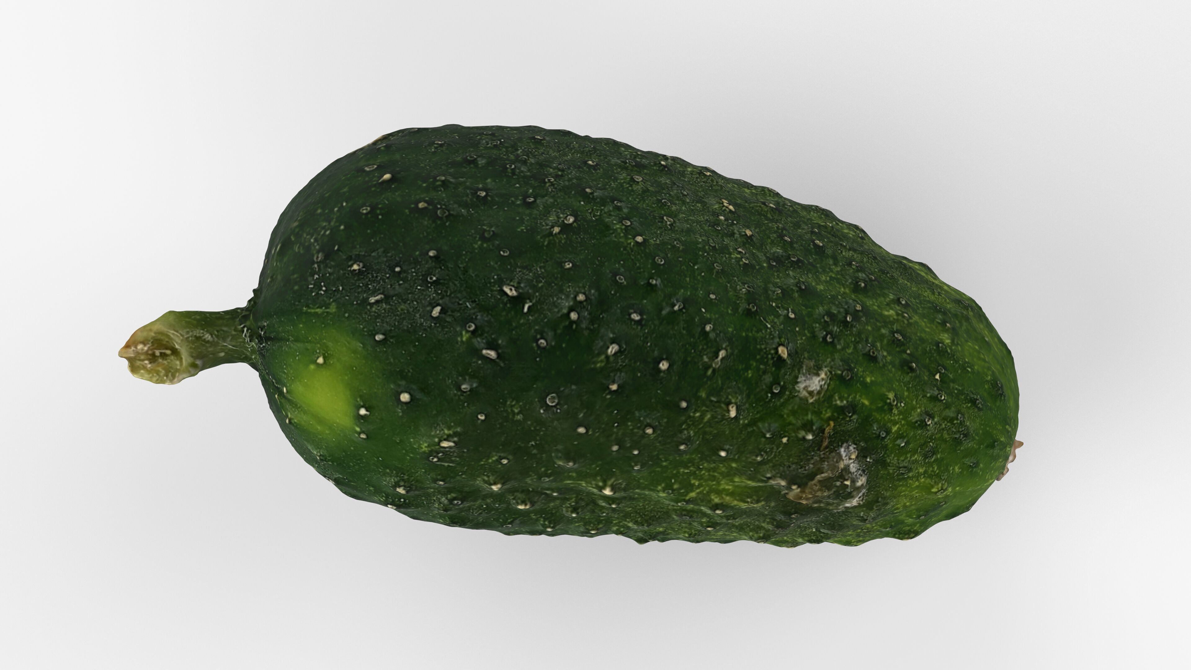 Photorealistic 3D scan of cucumber - Fresh Whole Vegetable Low-poly 3D model_12