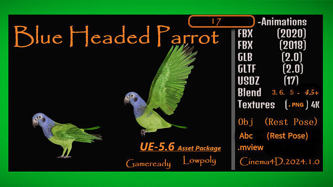 Blue Headed Parrot Low-poly 3D model