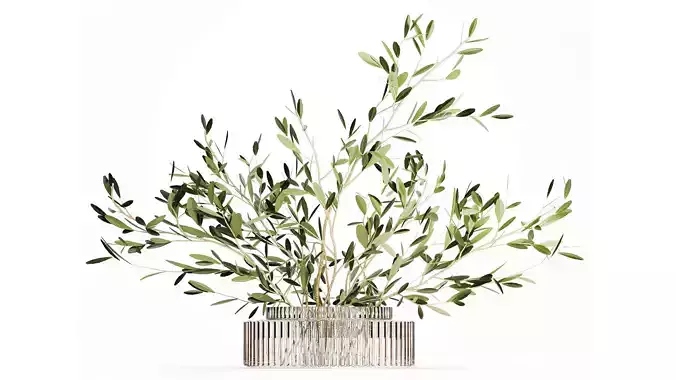 Realistic flower bouquet decoration of olive branches