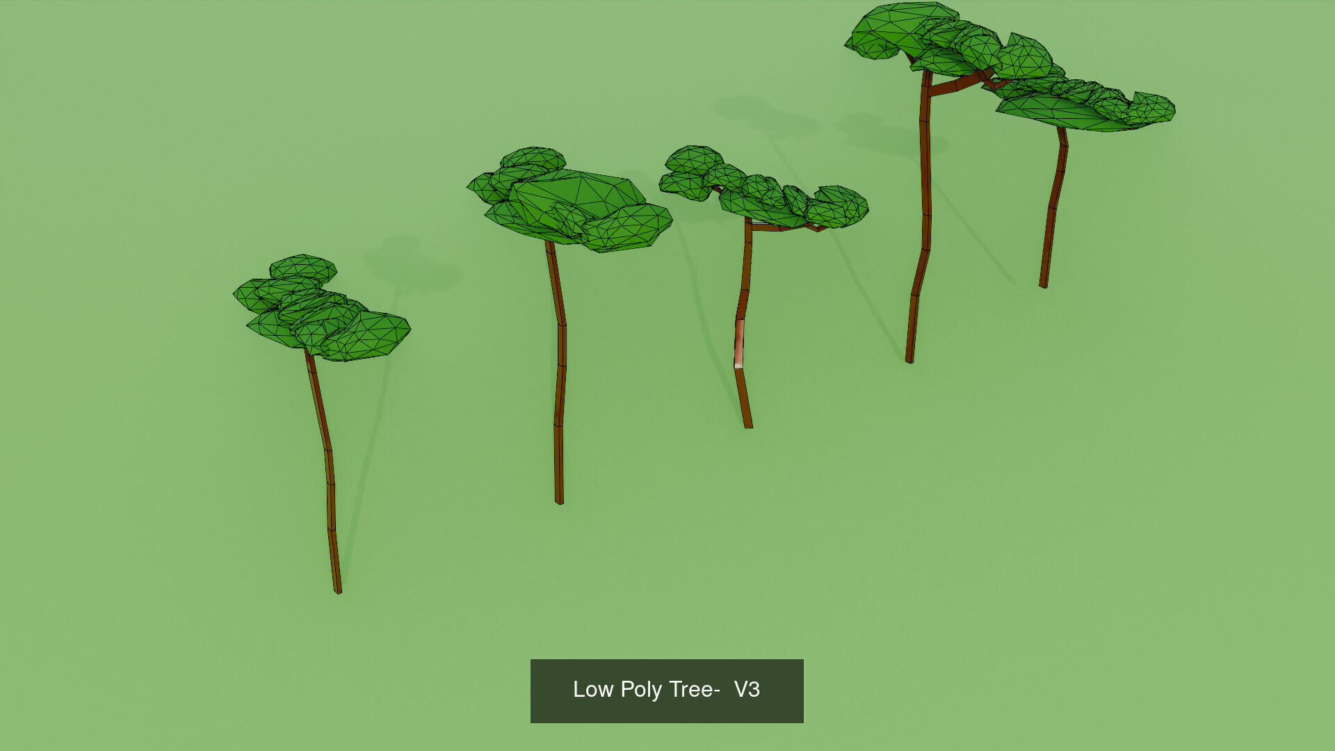 Low Poly Trees Pack  3D Model Collection_5