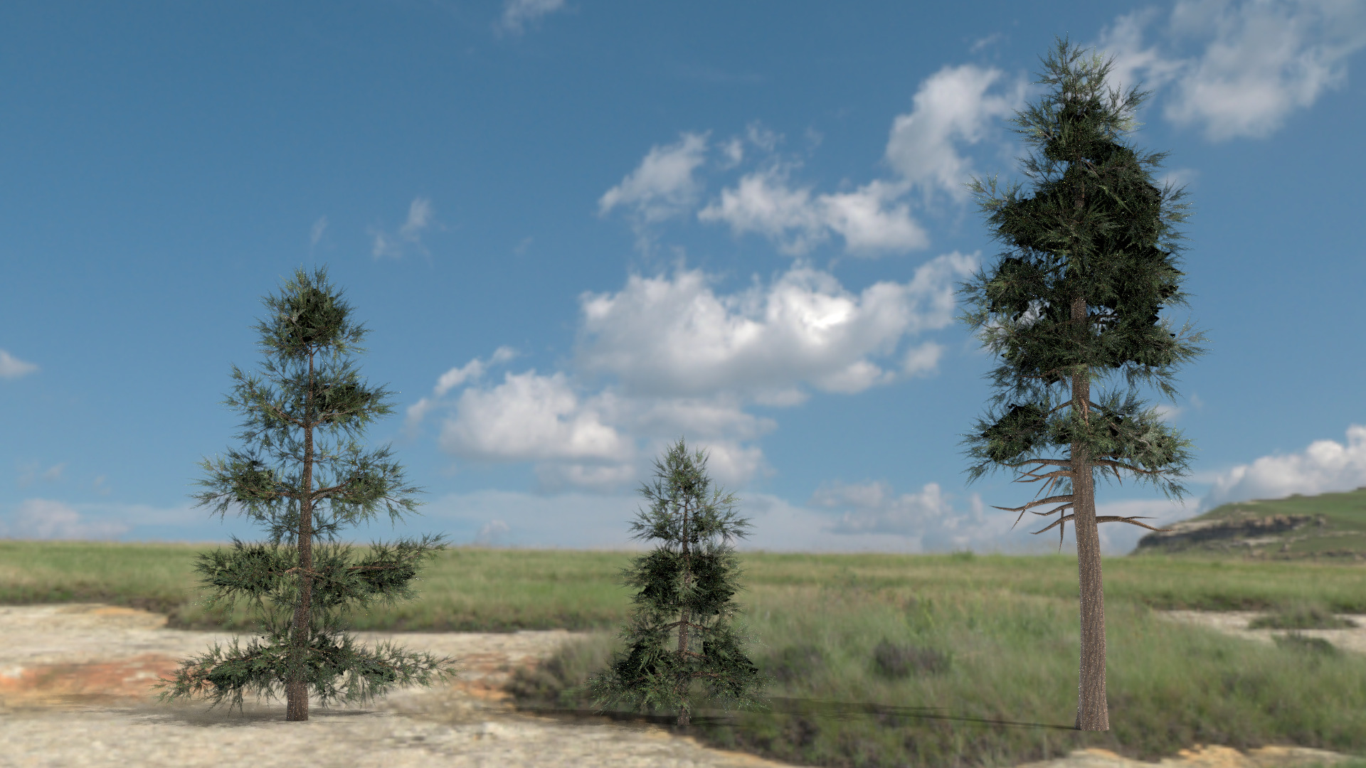 English Trees and Bushes Pack Low-poly 3D model_4