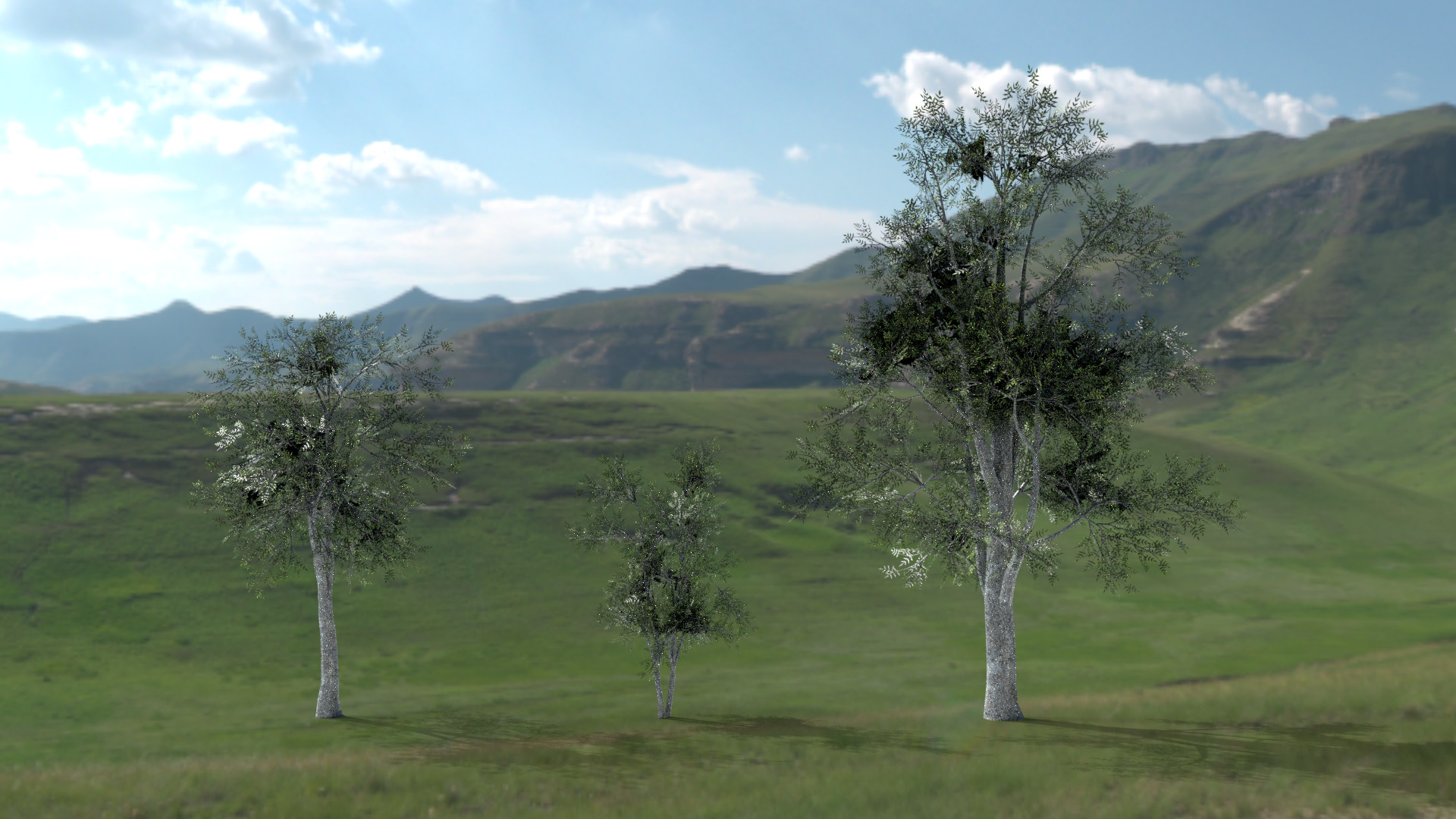 English Trees and Bushes Pack Low-poly 3D model_9