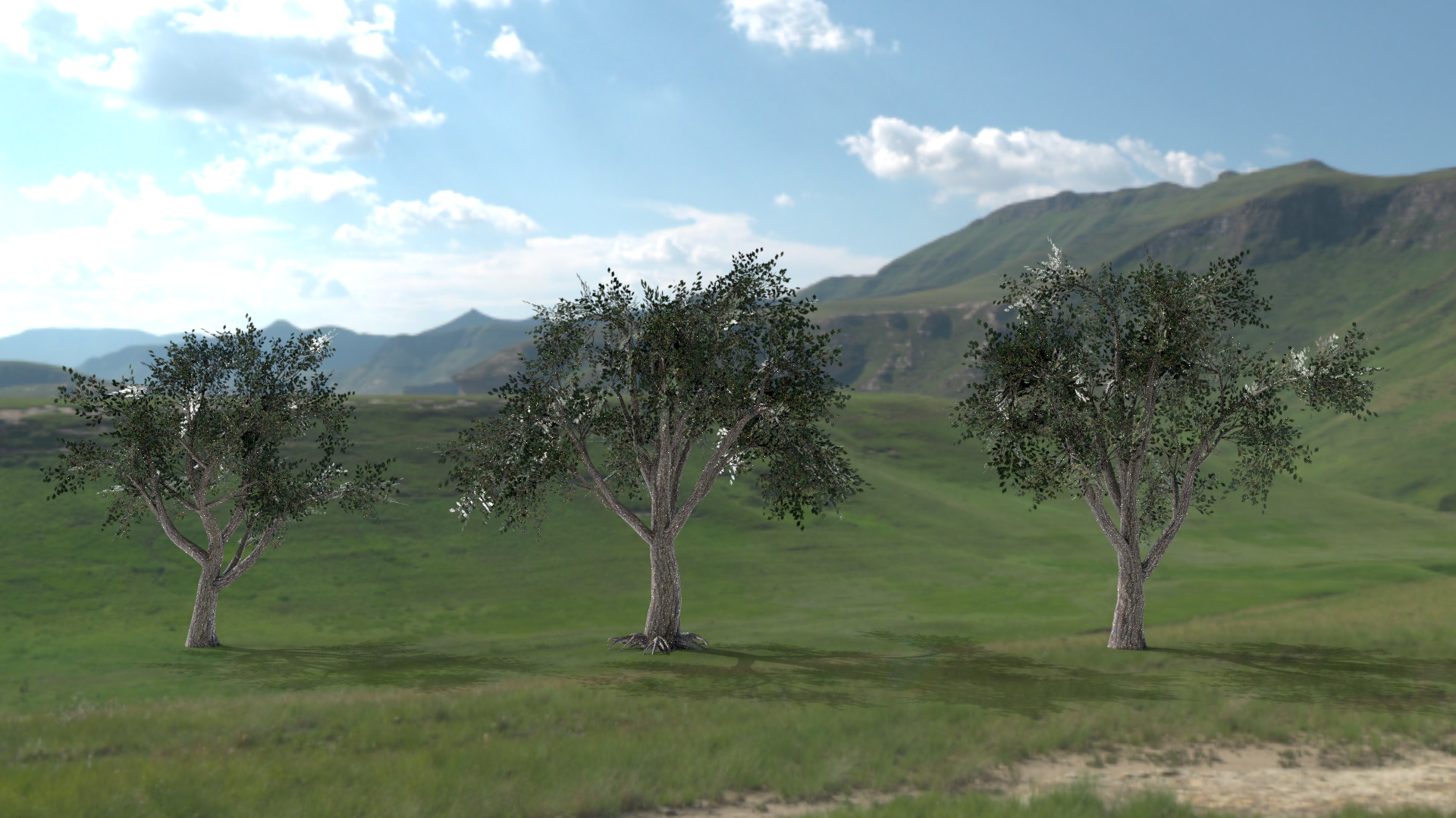 English Trees and Bushes Pack Low-poly 3D model_5