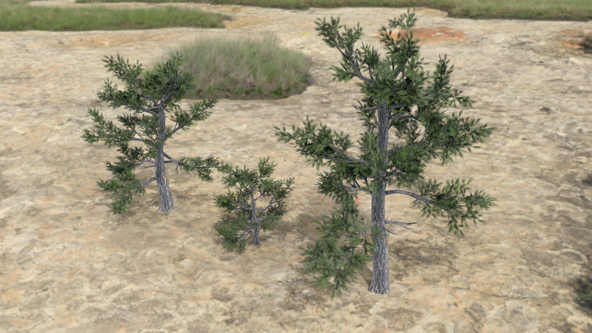 English Trees and Bushes Pack Low-poly 3D model_10