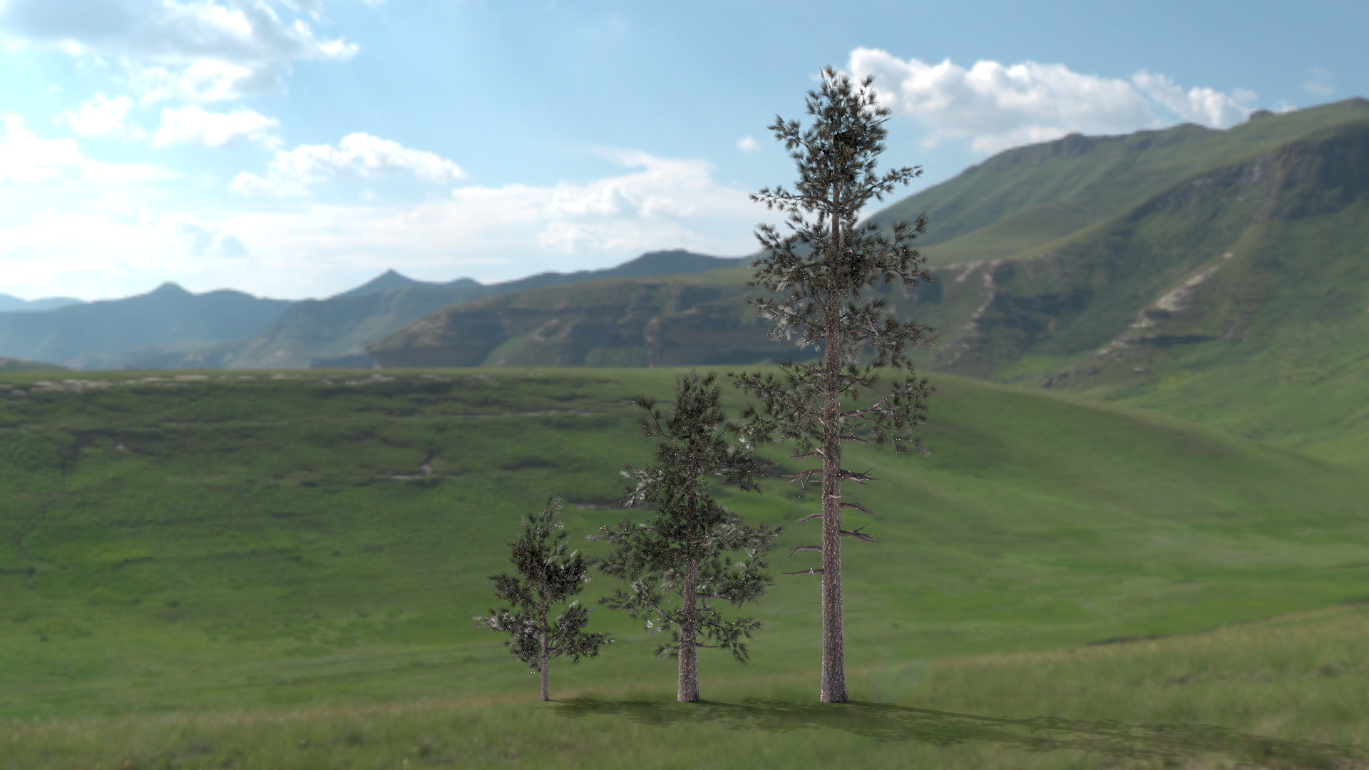 English Trees and Bushes Pack Low-poly 3D model_11