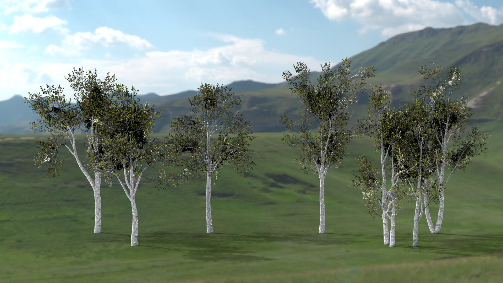 English Trees and Bushes Pack Low-poly 3D model_2