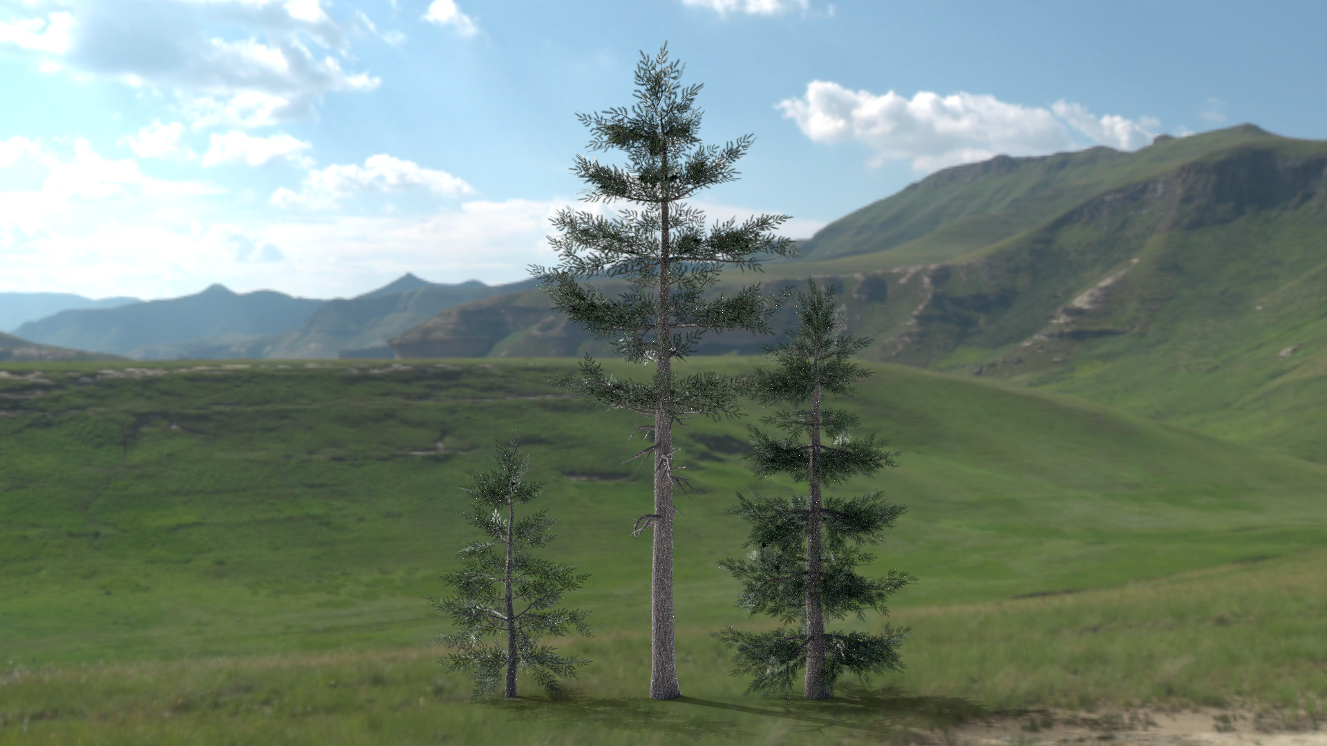 English Trees and Bushes Pack Low-poly 3D model_13
