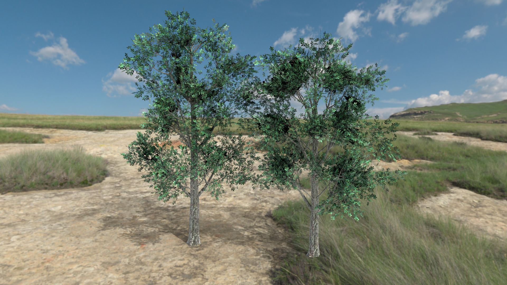 English Trees and Bushes Pack Low-poly 3D model_7