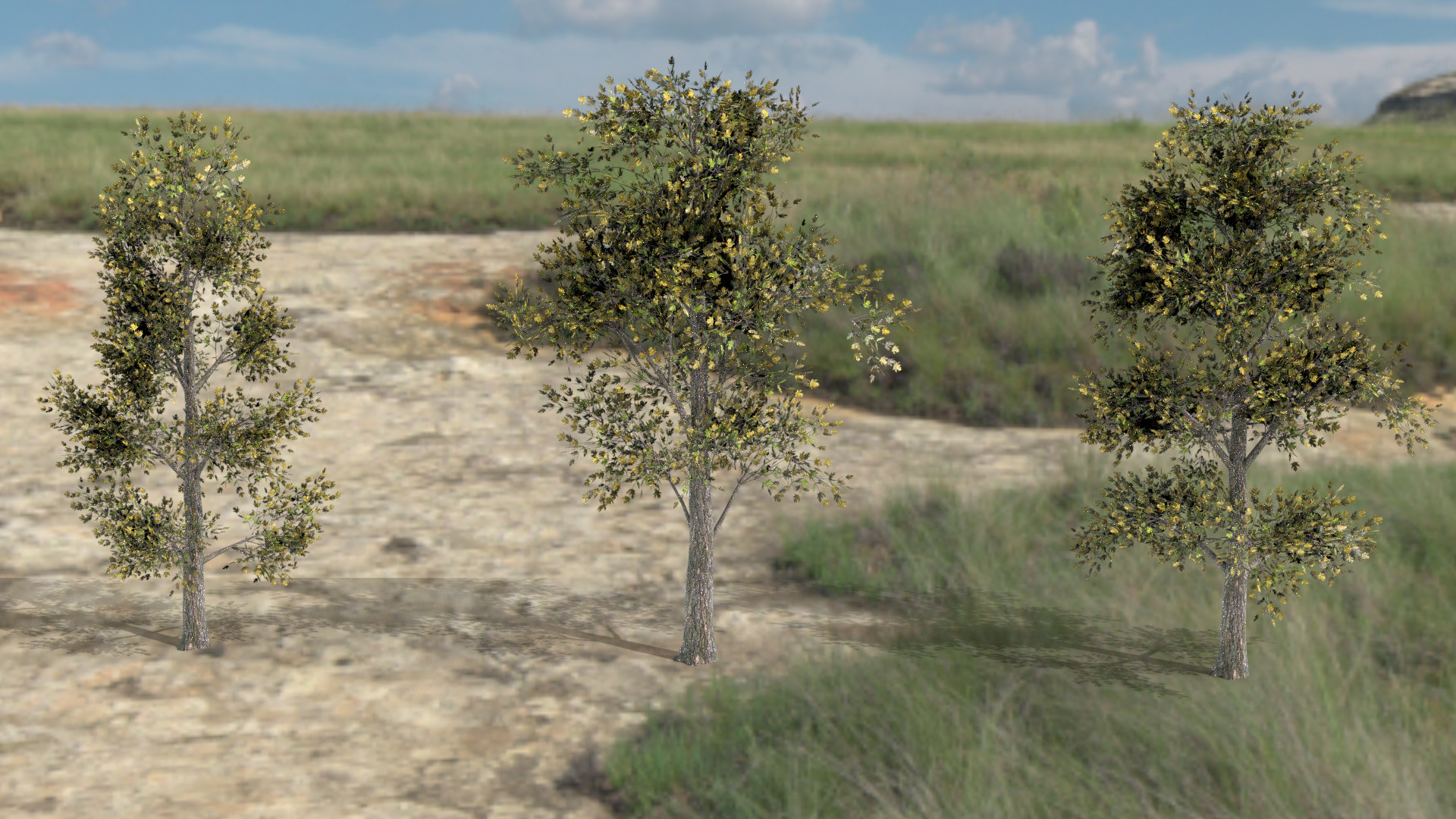 English Trees and Bushes Pack Low-poly 3D model_8