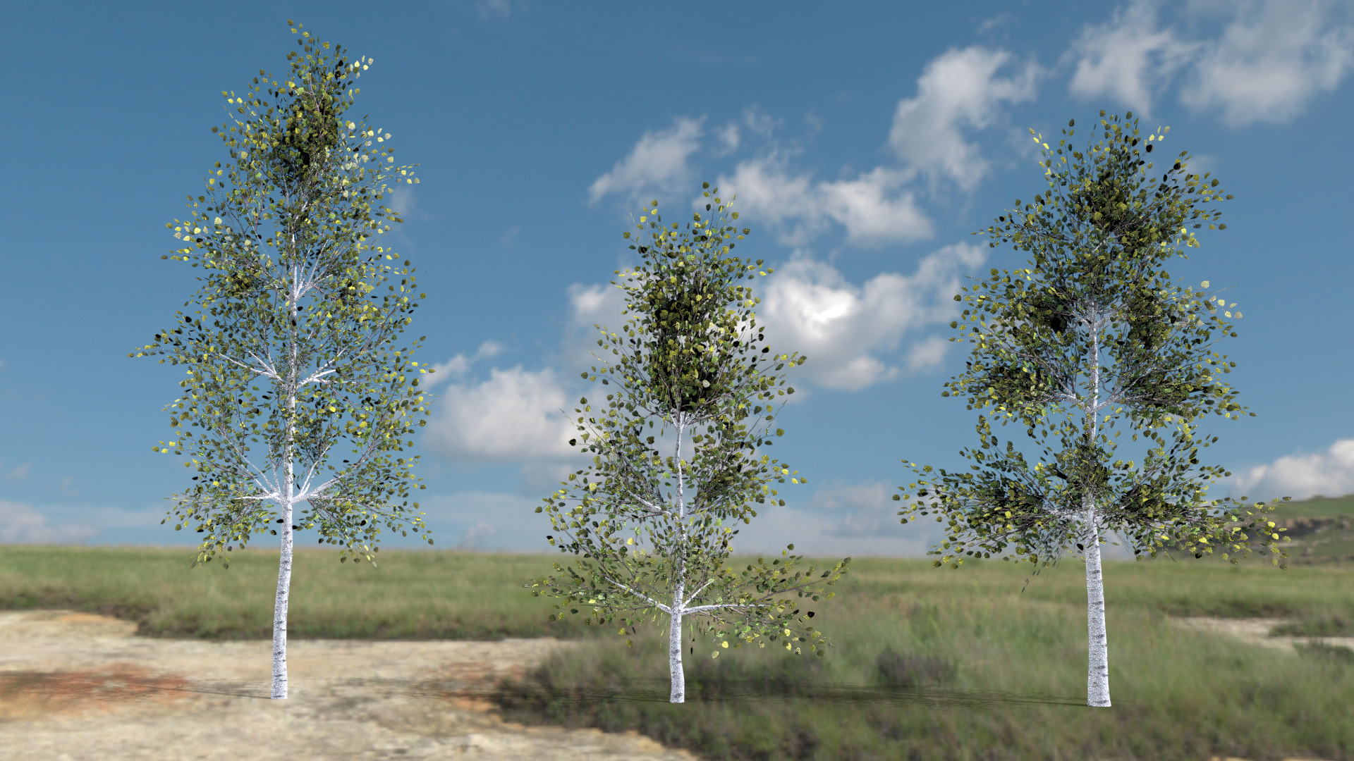 English Trees and Bushes Pack Low-poly 3D model_1