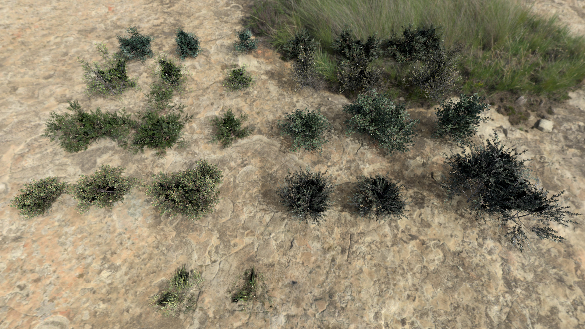 English Trees and Bushes Pack Low-poly 3D model_3