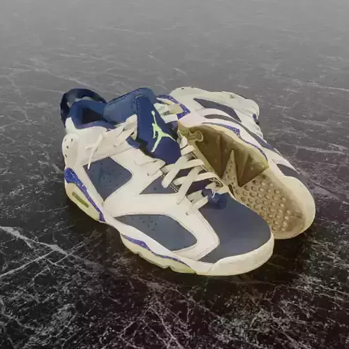 NIKE AIR JORDAN 6 INSIGNIA BLUE 3D SHOES
