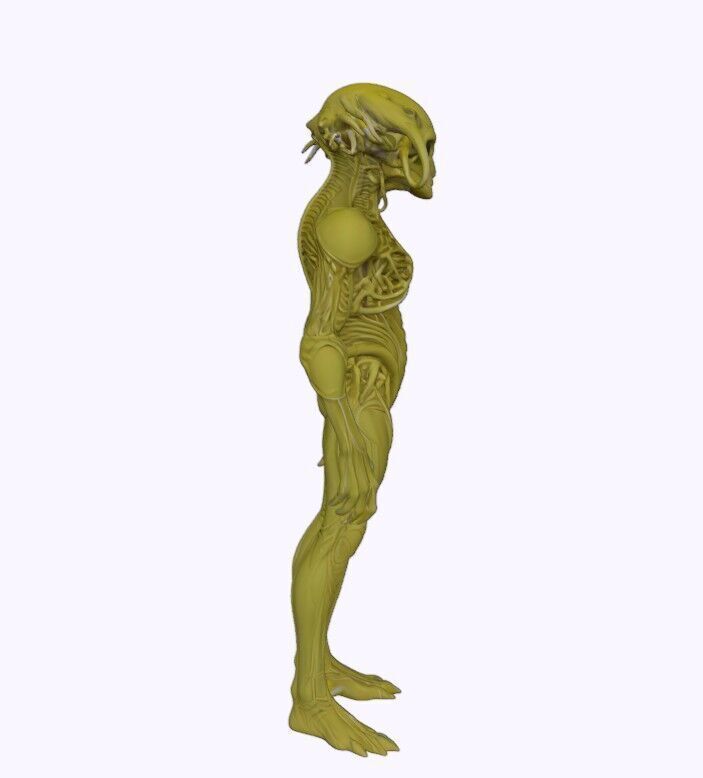 Zhylar Bioengineered Surveyor 3D print model_7