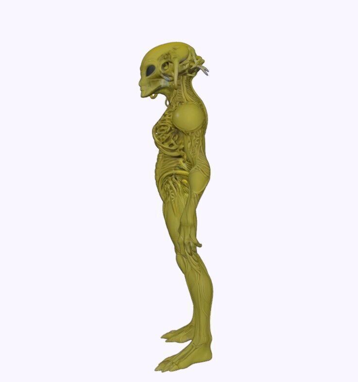 Zhylar Bioengineered Surveyor 3D print model_3
