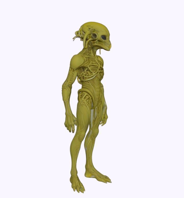 Zhylar Bioengineered Surveyor 3D print model_9