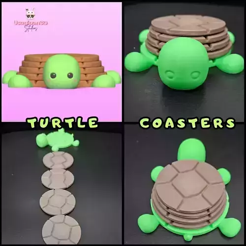 Turtle Coasters