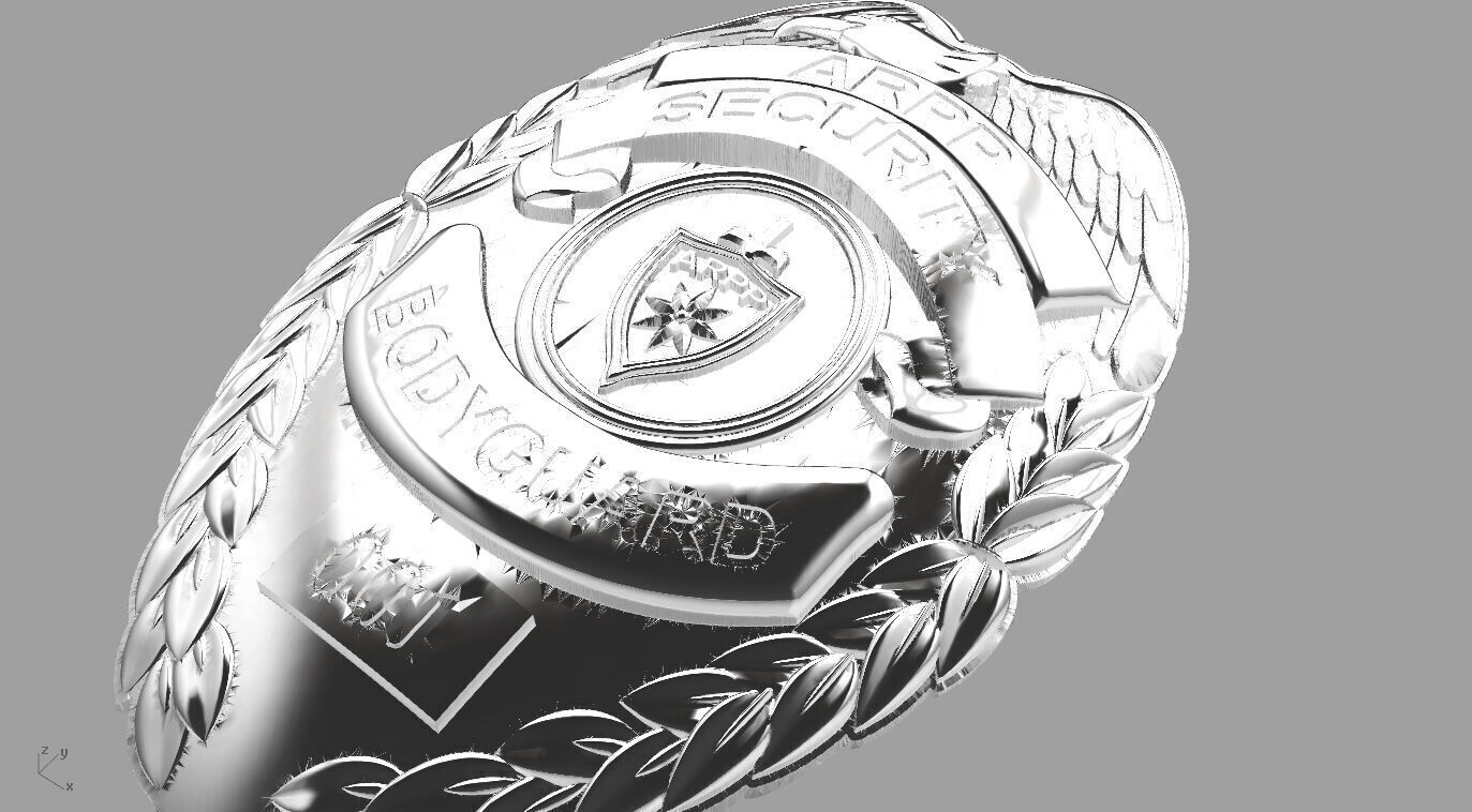 Elite Guard Gold Badge 3D print model_19